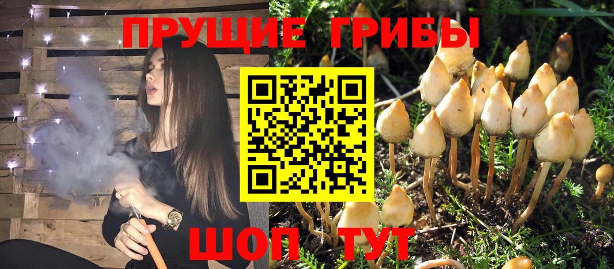 Нягань  Галлюциногенные грибы мицелий  Вход с VPN 